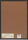 Triceratium muricatum Brightw. (de-Toni-Nr.: Genus 140, Species 3734) Zeichnungen Sammlung Grunow Mappe 03839 (Herbarium_W_Grunow_drawings_Folder_03839)